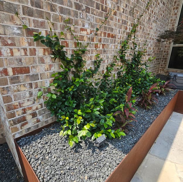 Gallery photos for Cotton Farm: Image #8