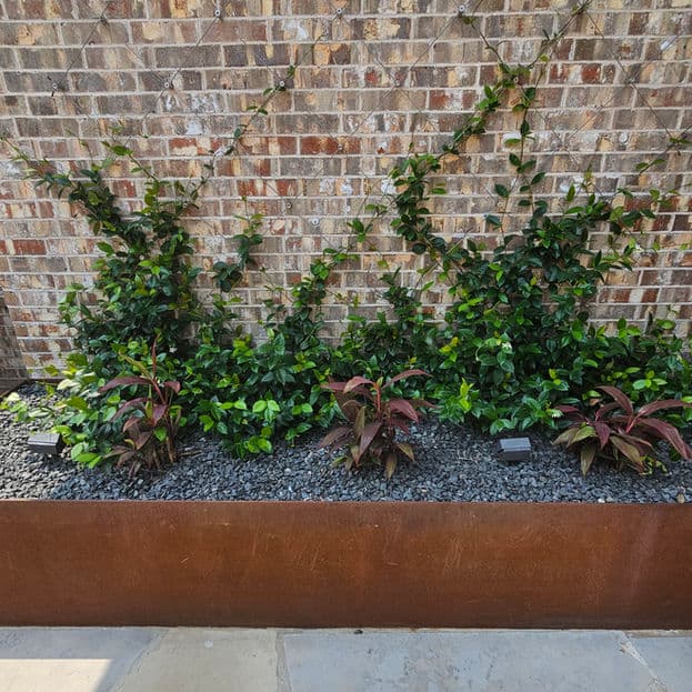 Gallery photos for Cotton Farm: Image #6