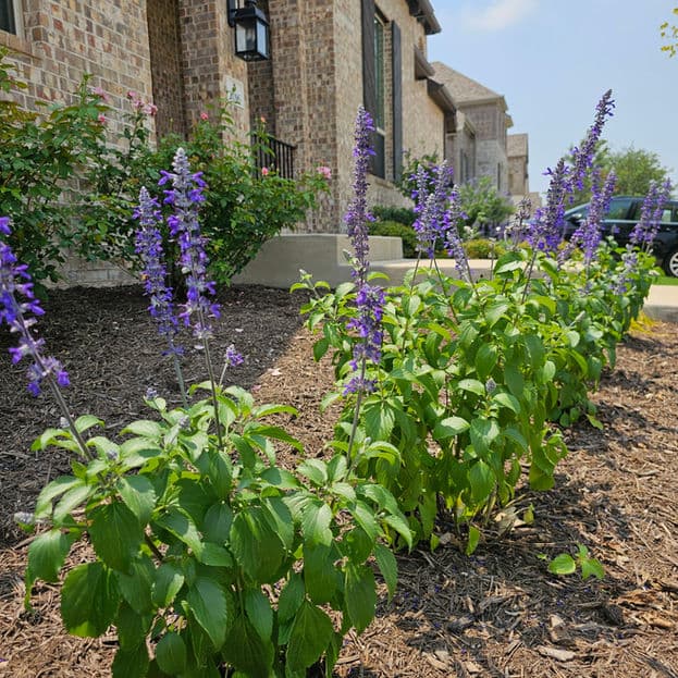 Gallery photos for Cotton Farm: Image #4