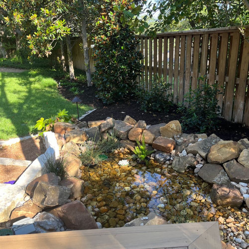 Serene backyard pond surrounded by rocks, plants, and a wooden fence in a sunny garden.