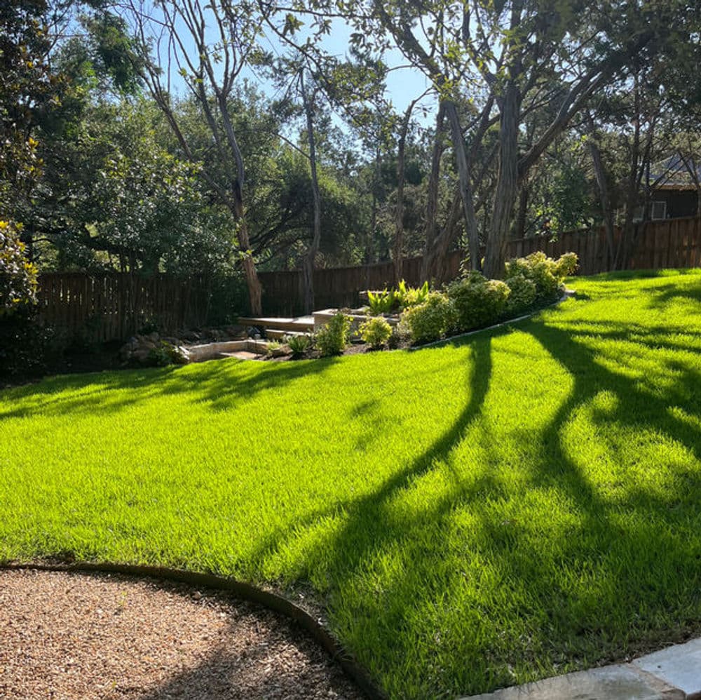 Lush green lawn under sunlight with garden and trees in a serene backyard setting.