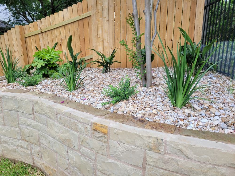 Decorative rock garden with plants and wooden fence in background. Natural landscaping design.