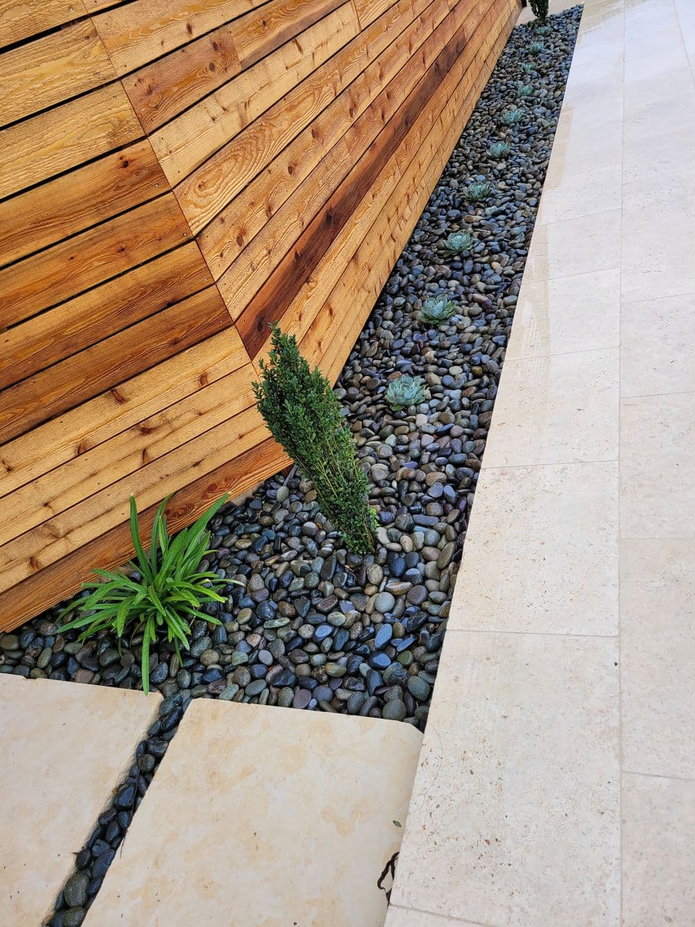 Modern landscaping featuring a wooden wall, pebbled border, and lush greenery.