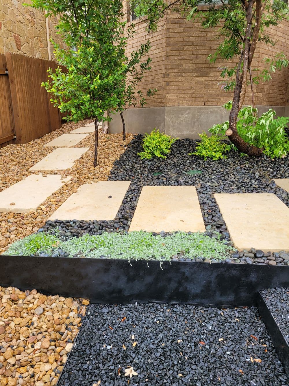 Modern landscaped garden featuring stone pathways, greenery, and contrasting black pebbles.